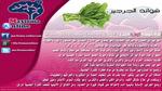أهمية الحديد وصحة الجسم