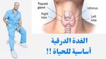 أهمية الغدة الدرقية وصحتك