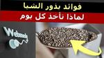 تعرف على فوائد بذور الشيا الصحية
