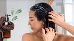 طرق رائعة لتنعيم الشعر بطرق طبيعية