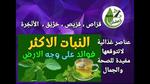 فوائد الريحان للصحة والجمال
