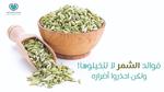فوائد الشمر الصحية المذهلة