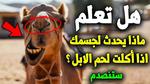 فوائد الفول السوداني الصحية المدهشة