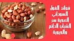 فوائد المغنيسيوم للصحة والحيوية