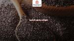 فوائد بذور الشيا الصحية والغذائية