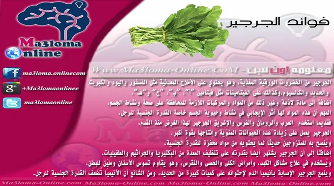 أهمية الحديد وصحة الجسم