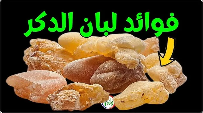الفوائد الصحية للبان الدكر