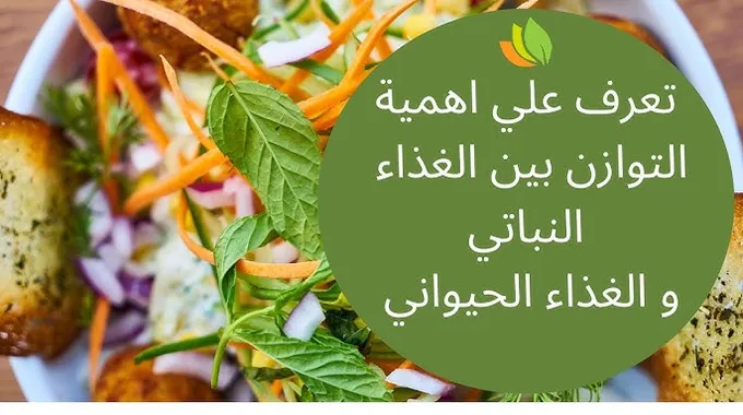 تعرّف على الأكل الصحي ومواصفاته