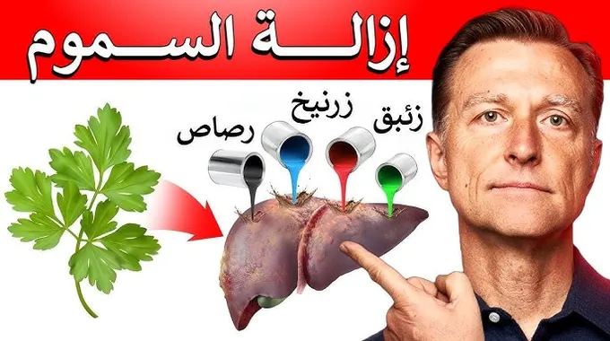 خطة صحية لتنظيف الجسم من السموم