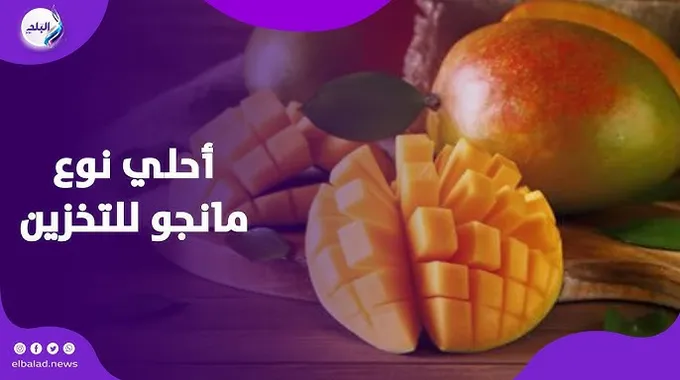 طرق رائعة لتخزين المانجو على مدار السنة