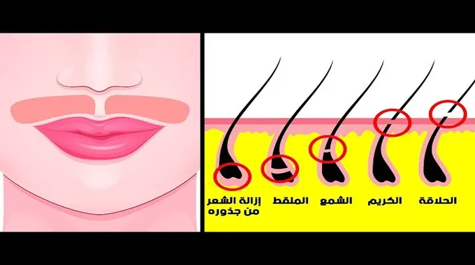 طرق طبيعية للتخلص من الشعر الزائد