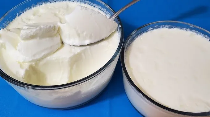 طريقة عمل الزبادي في المنزل بأسلوب مميز