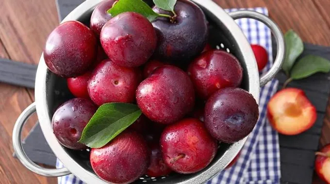 فوائد البرقوق الصحية المتعددة