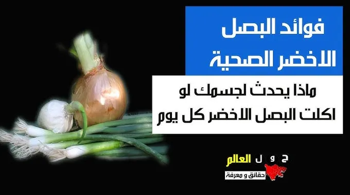 فوائد البصل الأخضر الصحية المدهشة