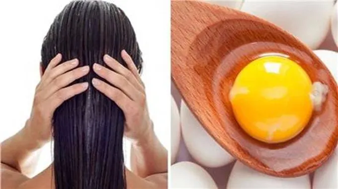 فوائد البيض للشعر وكيفية استخدامه