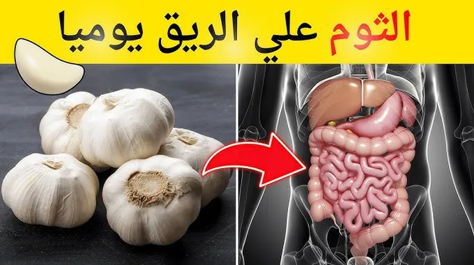 فوائد الثوم الصحية عند تناوله على الريق