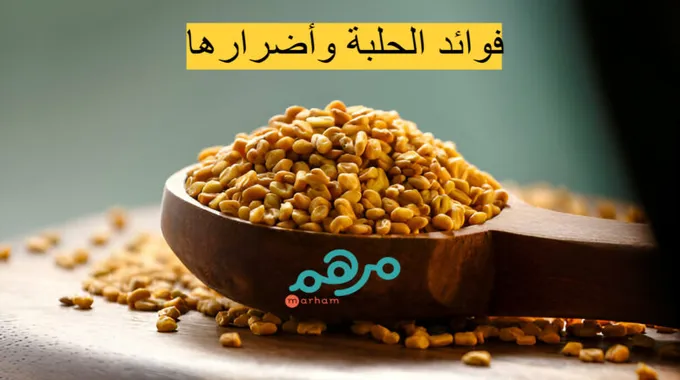 فوائد الحلبة الصحية المتعددة