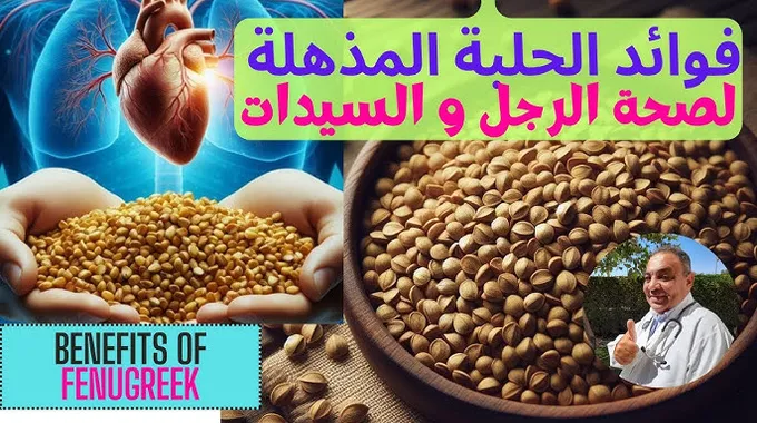 فوائد الحلبة لصحة الجسم وأسرارها العجيبة