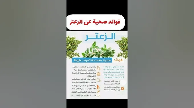 فوائد الزعتر الصحية المتعددة