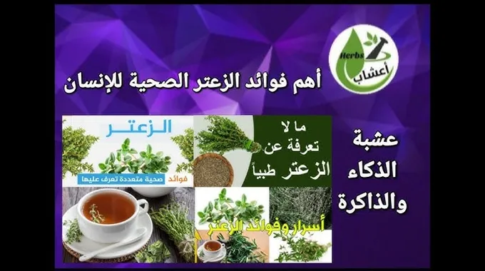 فوائد الزعتر الصحية والطبية
