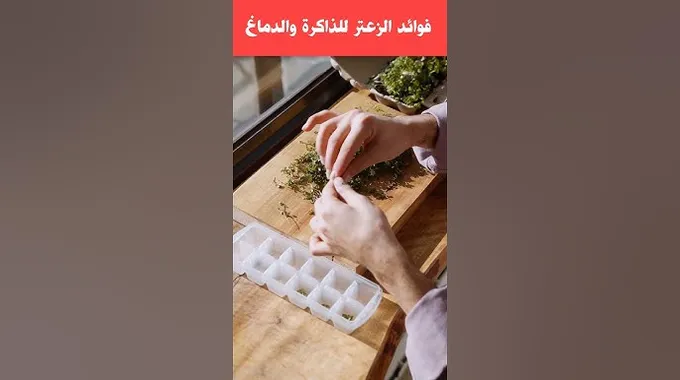 فوائد الزعتر لصحة الجسم