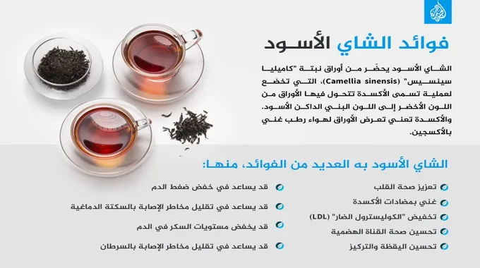 فوائد الشاي الأخضر للرجال بشكل مفصل
