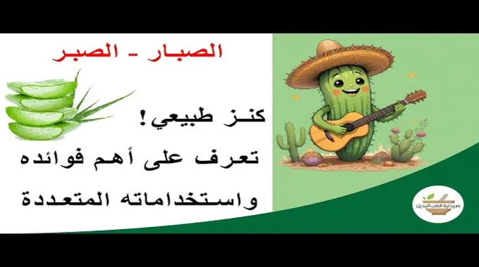 فوائد الصبار واستخداماته المتعددة