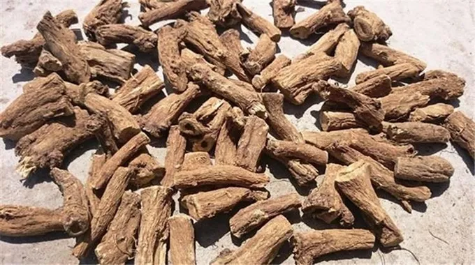 فوائد العود الهندي الصحية والجمالية