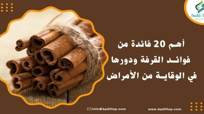 فوائد القرفة الصحية وأهميتها للجسم