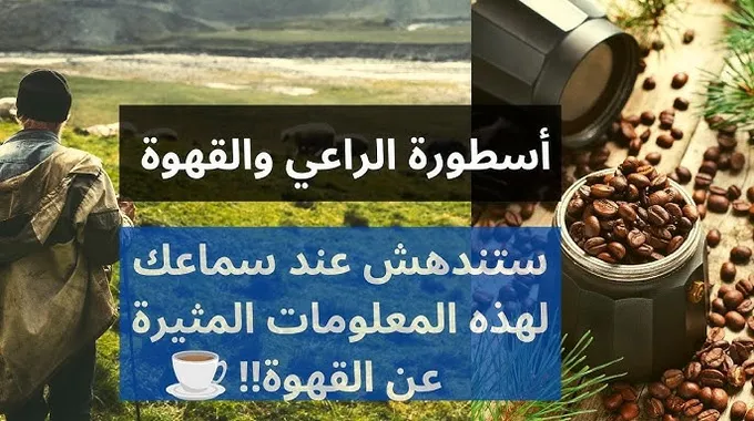 فوائد القهوة: حقائق وأساطير