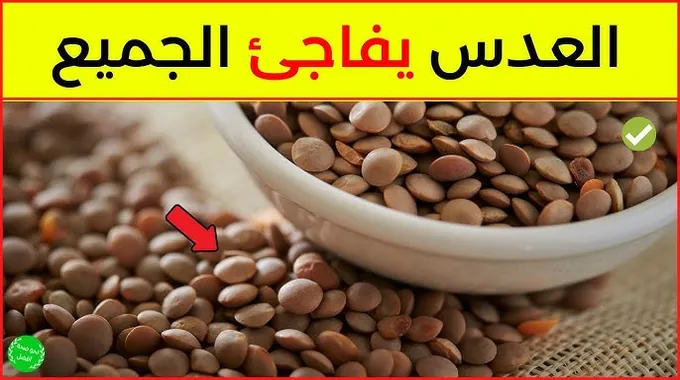 فوائد الكرنب الصحية وتأثيره على الجسم