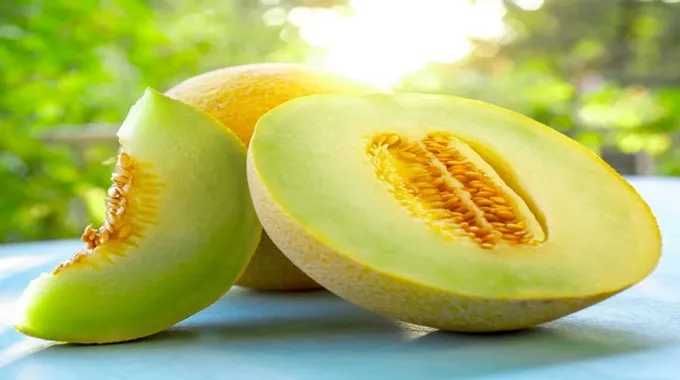 فوائد الكنتالوب للصحة والجسم