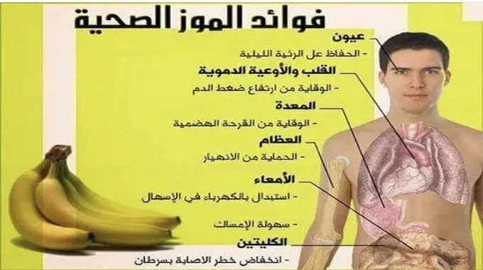 فوائد الموز الصحية للجسم