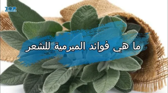 فوائد الميرمية الصحية والجمالية