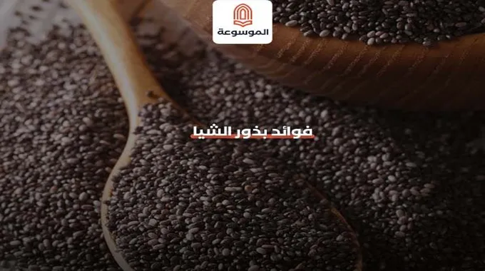 فوائد بذور الشيا الصحية والغذائية