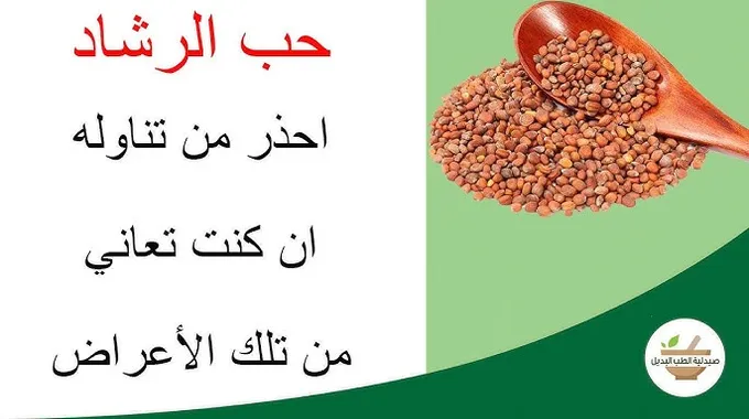 فوائد حب الرشاد للصحة والعافية