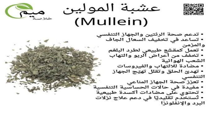 مشروبات طبيعية لتعزيز صحة الجهاز التنفسي