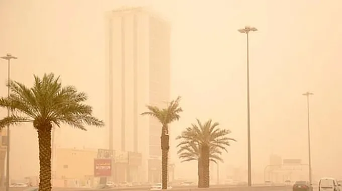 نصائح هامة لمرضى الجيوب الأنفية في الطقس السيء